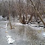 Duenenkoje شقة
